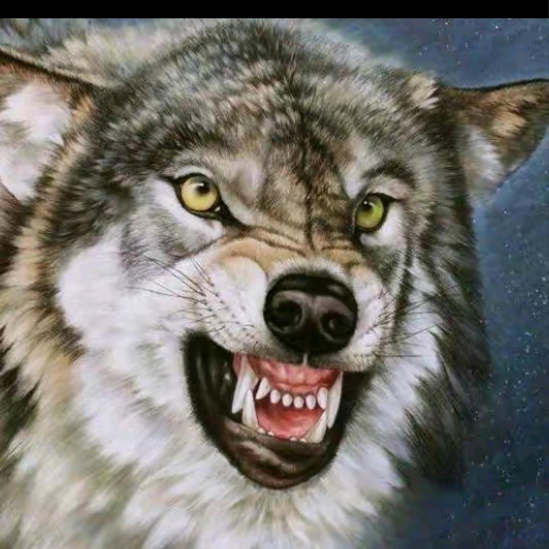 🔥🔥🔥相思哥🔥🔥🔥