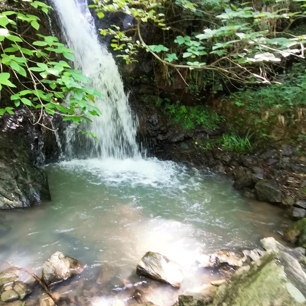 喜欢好人一生平安