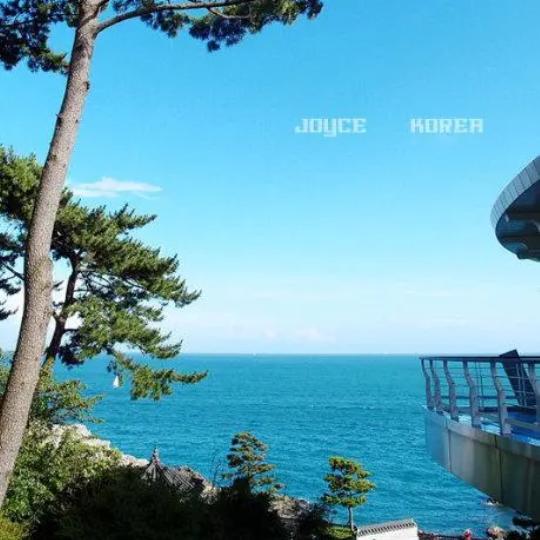 🇨🇳🇨🇳🇨🇳淡淡淡