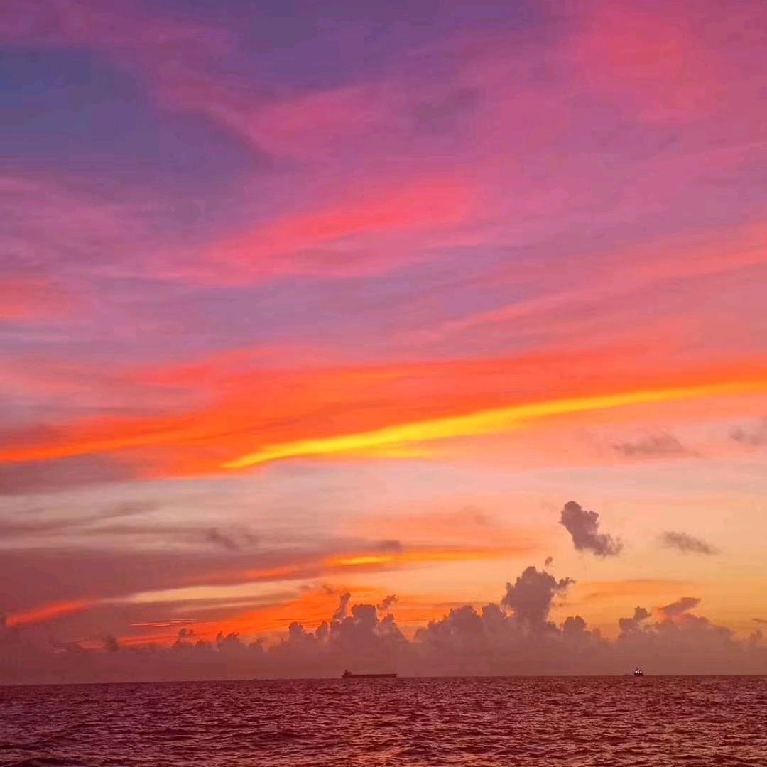 命中有时终归有，命中无时莫强求