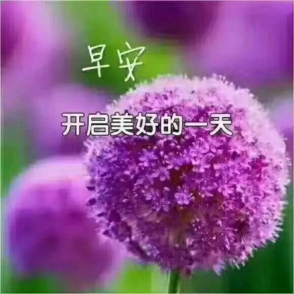 🌈$郝好$🌈
