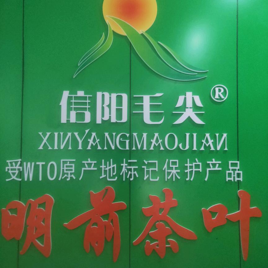 向东茶业信阳毛尖