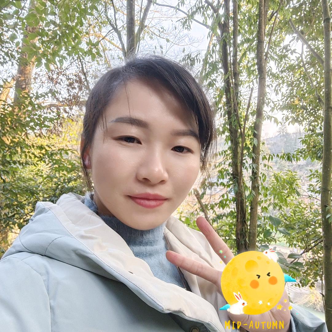 风味炸鸡