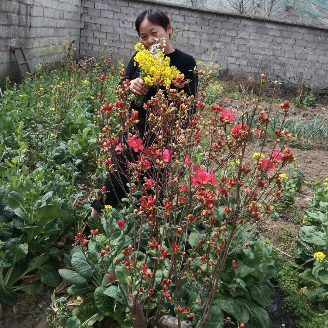 最孰人就是陌生人