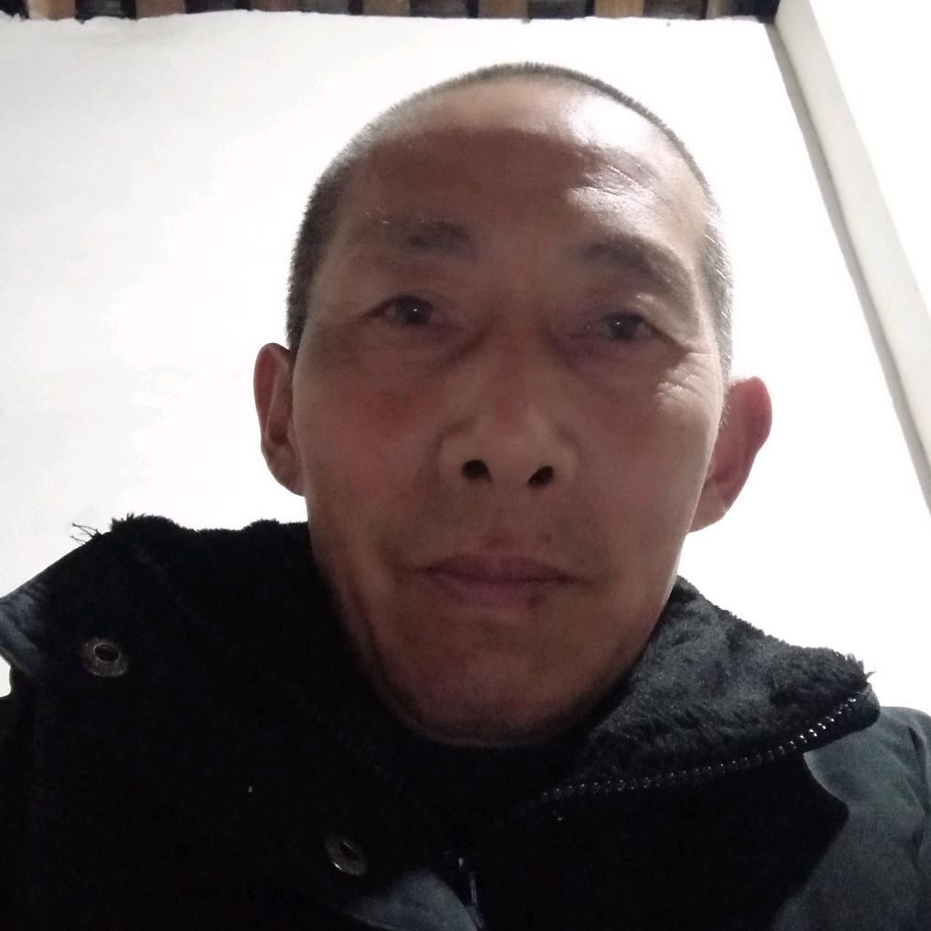 曾师采果队