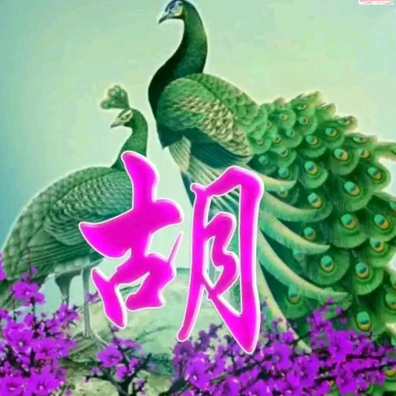 我冷暖自知