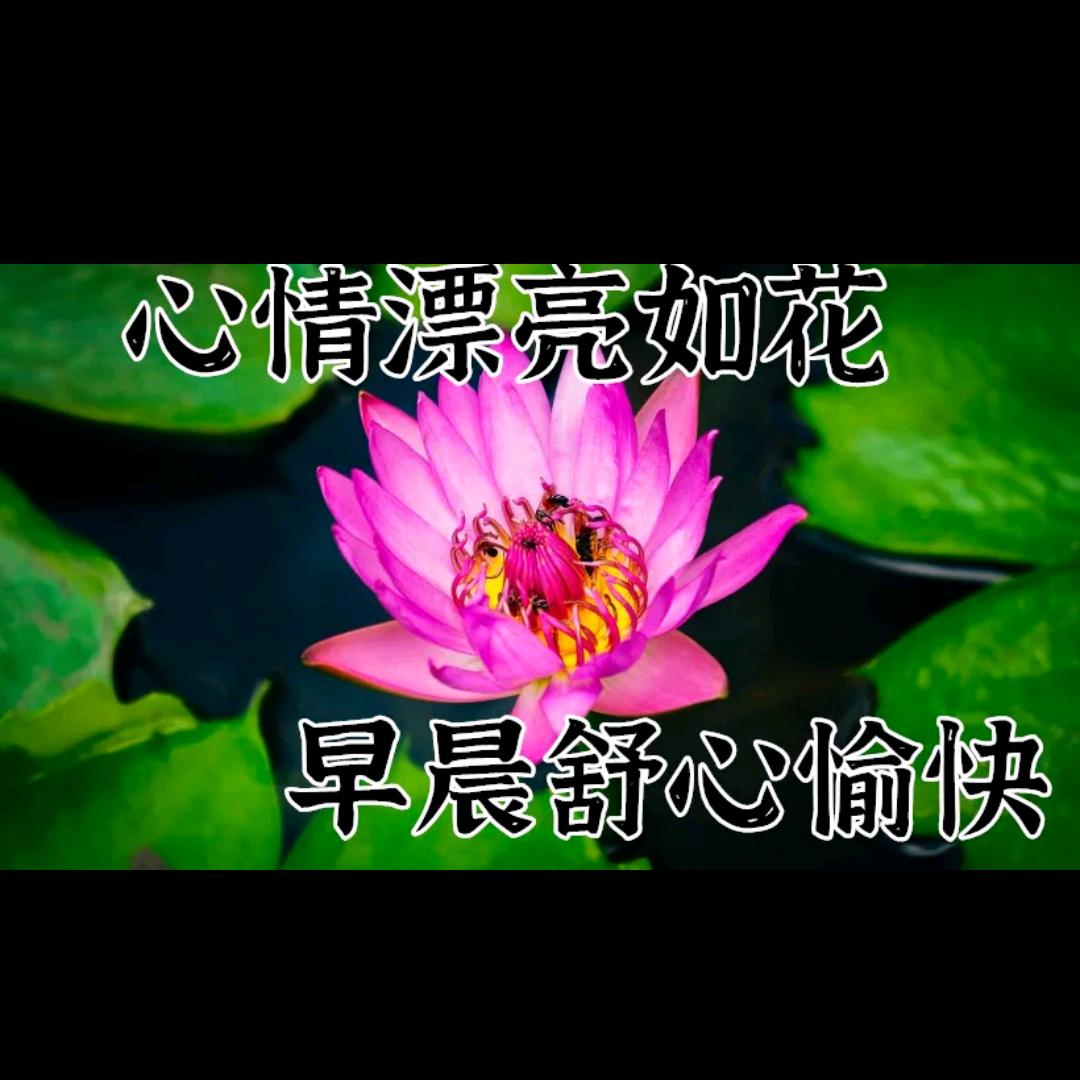 好玩AA
