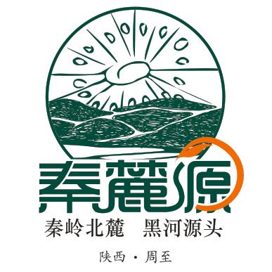 秦麓源猕猴桃