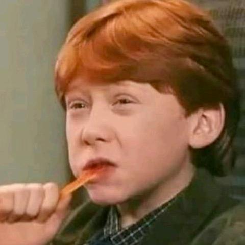 蟹黄包没有🦀️