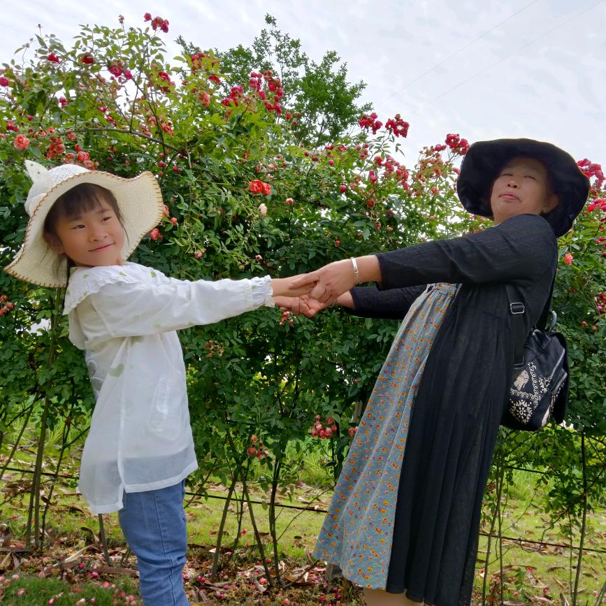 花开富贵
