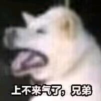 仙女。