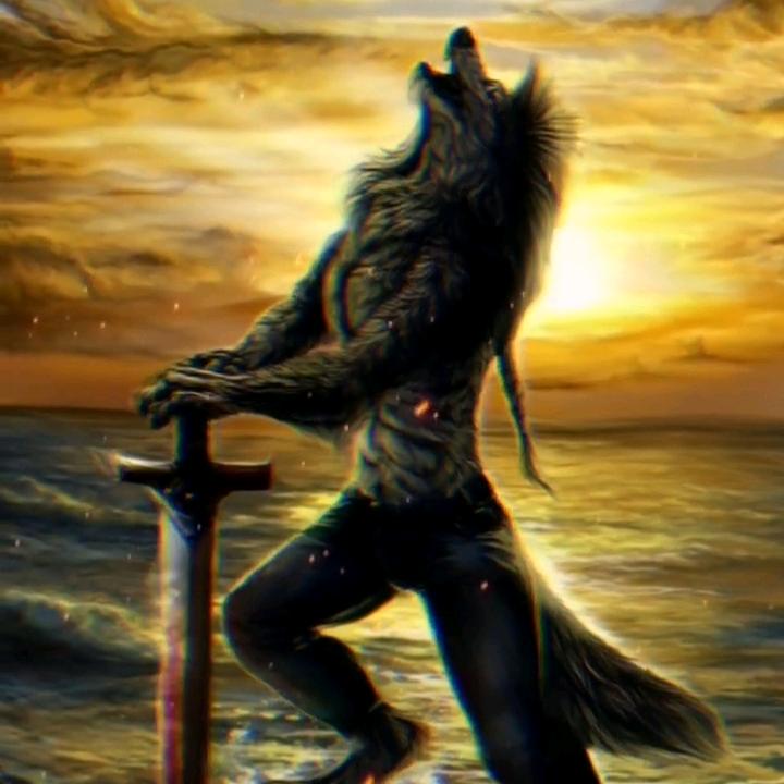 你的世界我退出