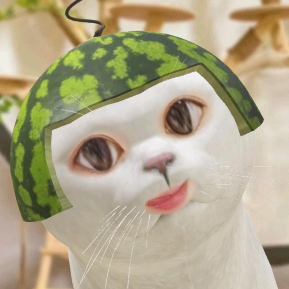 青岛吾人猫