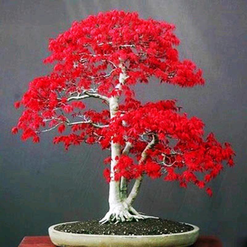 ღ汐航