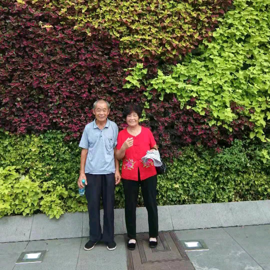 万事如意