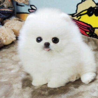 嘻嘻哈哈就是你