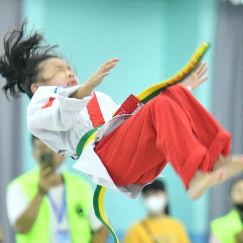 羽林武道—空翻特技、极限武术