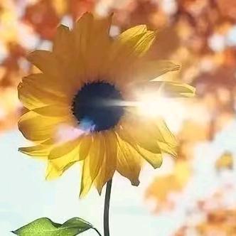 铝锭..氧化铝粉，铝锭加工厂，铝渣