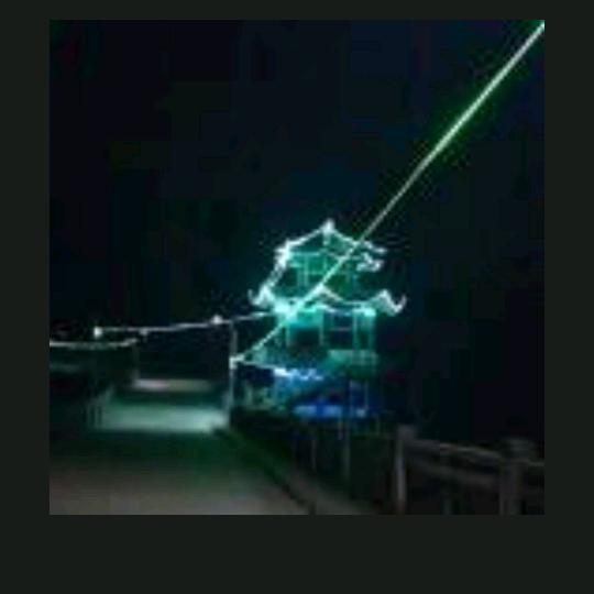 魚游沧海🐬