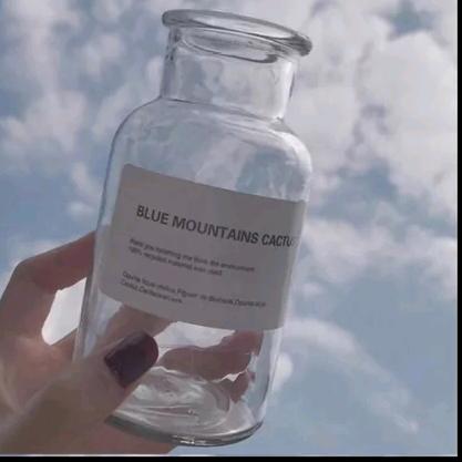 睛空想家的孩子