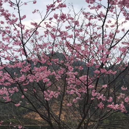 静心聆听🌈🌈🎊🎊（拒绝私聊）