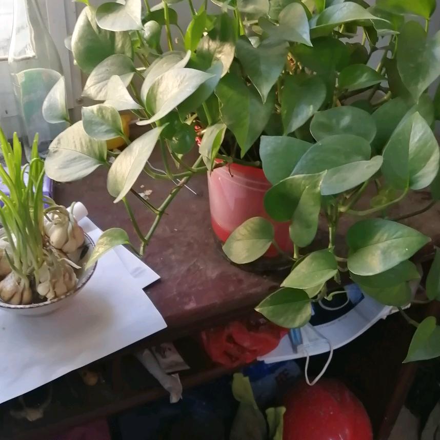 用户2885585635791大海