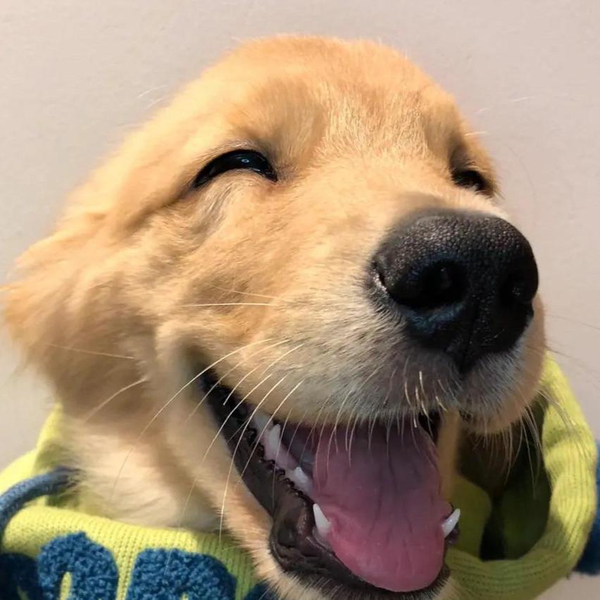 重生之我在苦命干家居