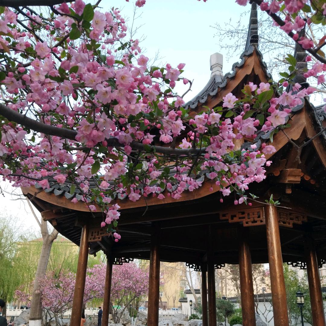 人间四月芳菲尽