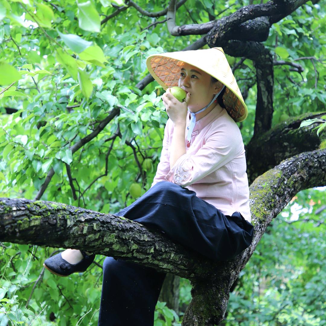 云南鑫鑫