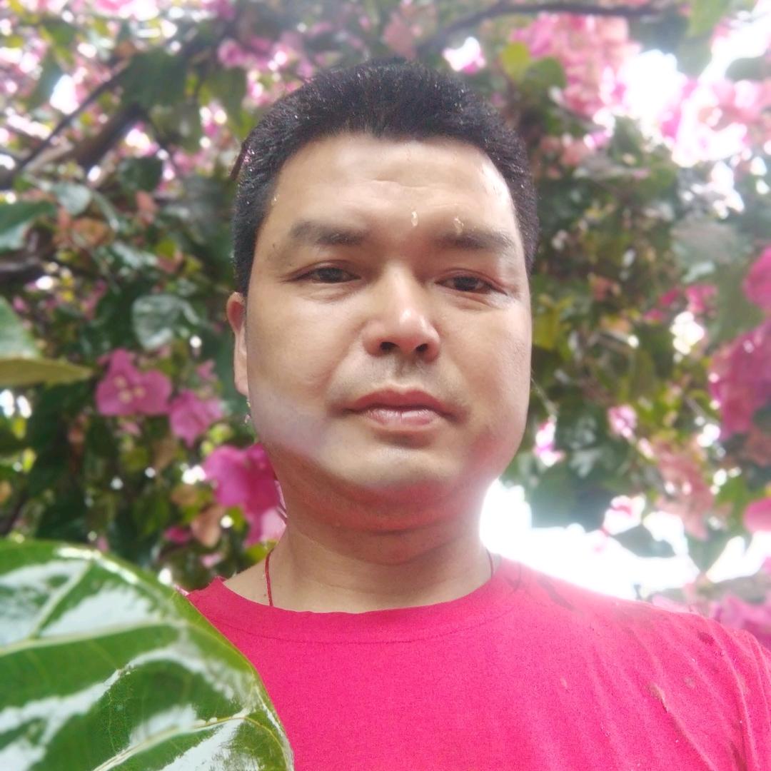 羊阳杨