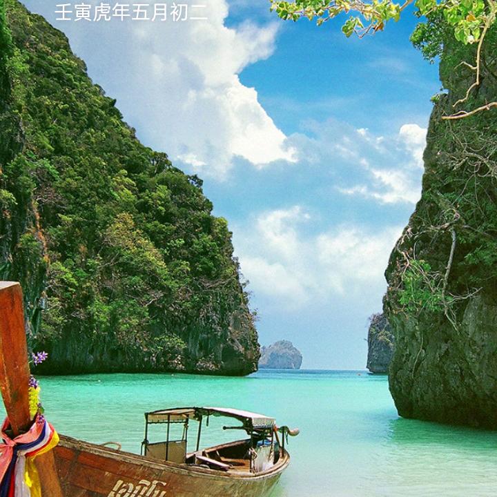 杨杨得亿88
