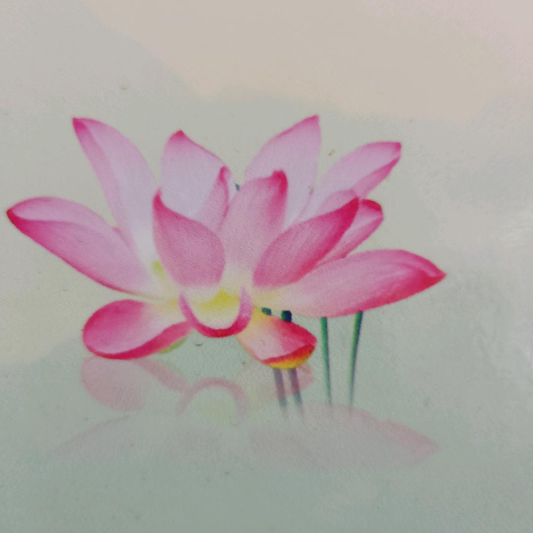 慈愿健康陈居士