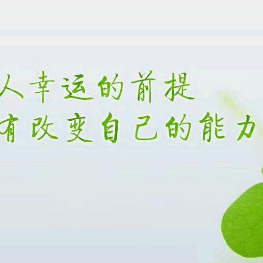 思念如雨