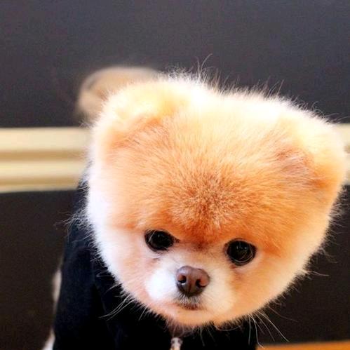 陪你去看最美的星星。