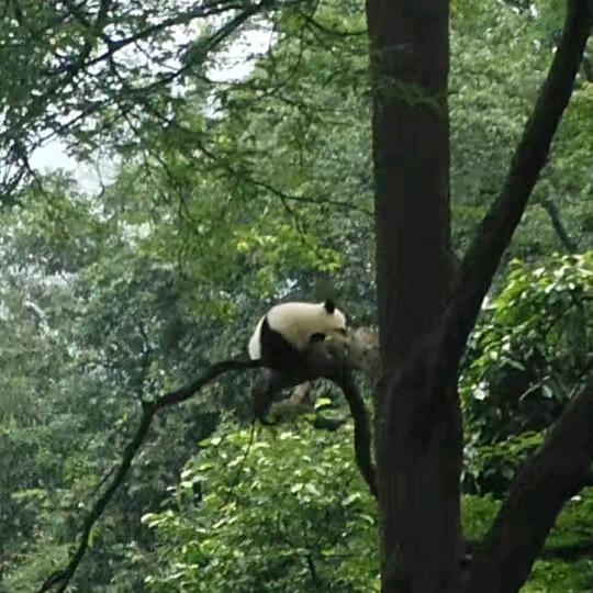 追梦人，不经历风雨怎么见彩虹！