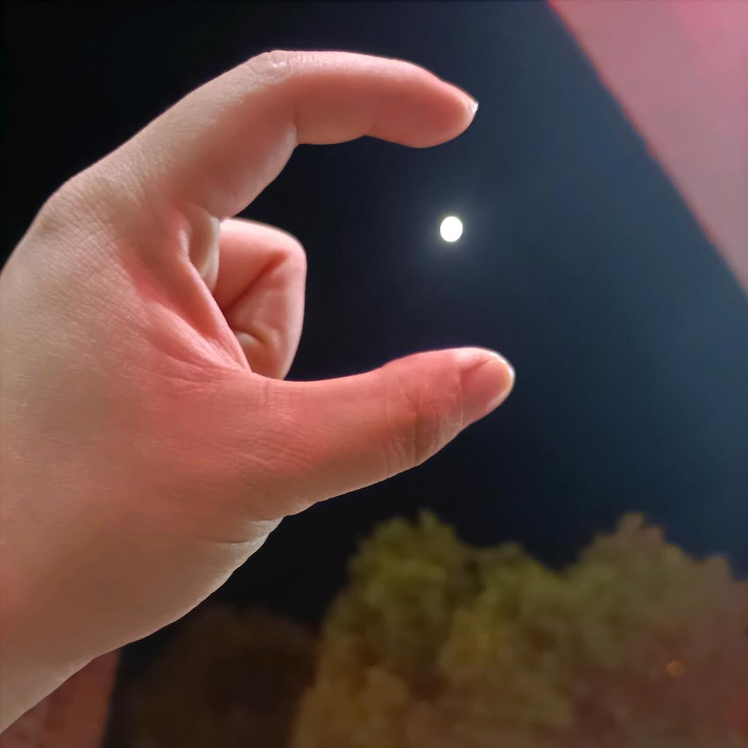 最好的自己