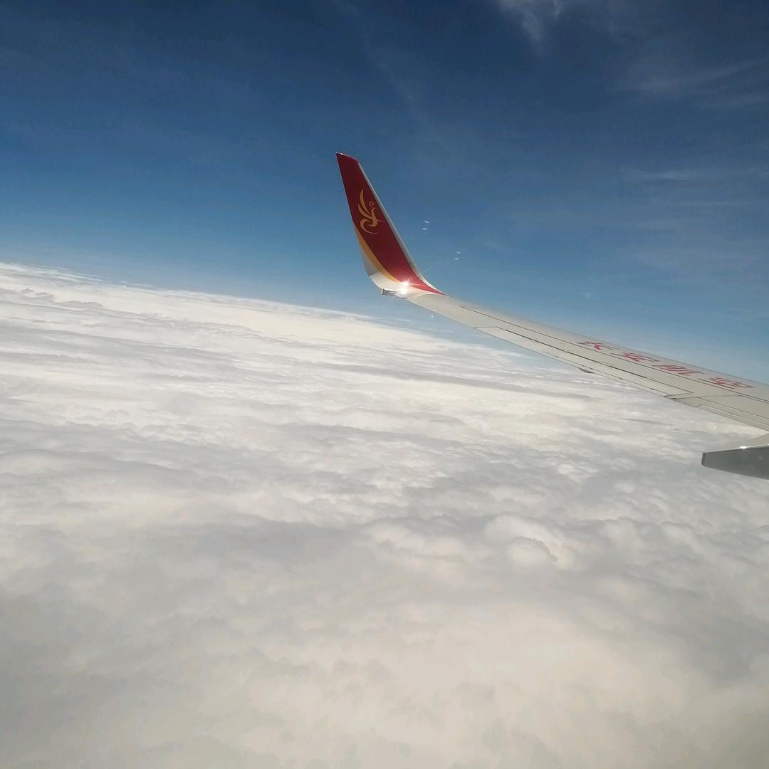 苏涛