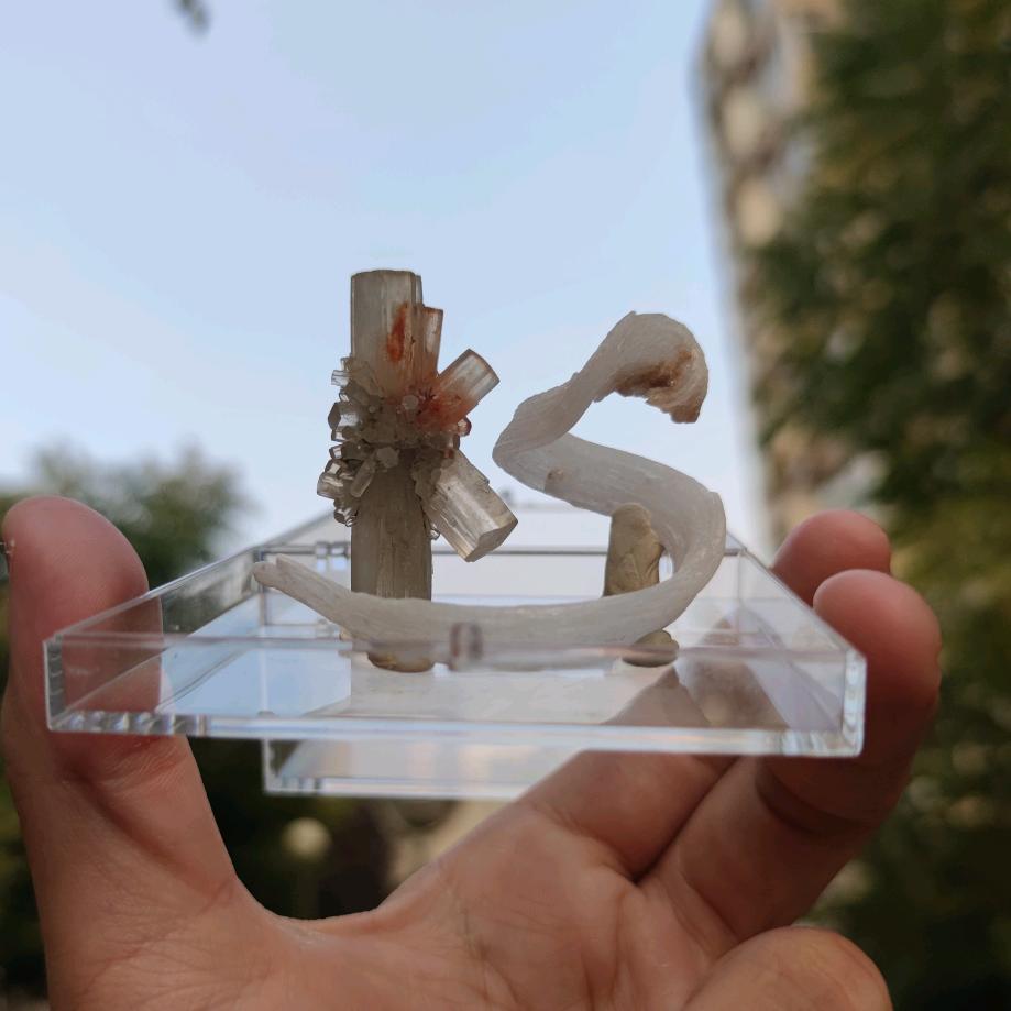 kk问洋洋去哪了~