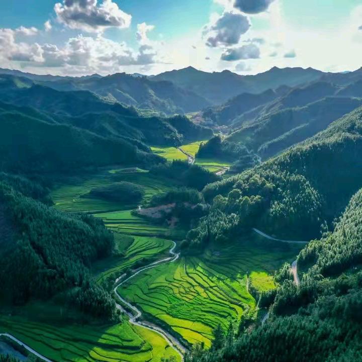 水墨丹琴