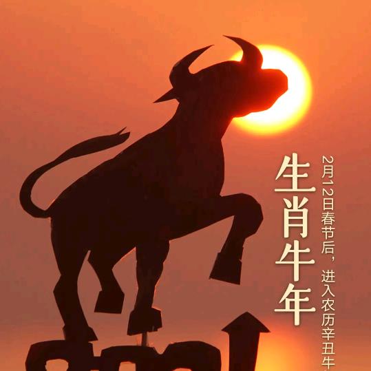 王建明