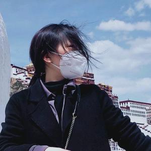 忘忧草2013