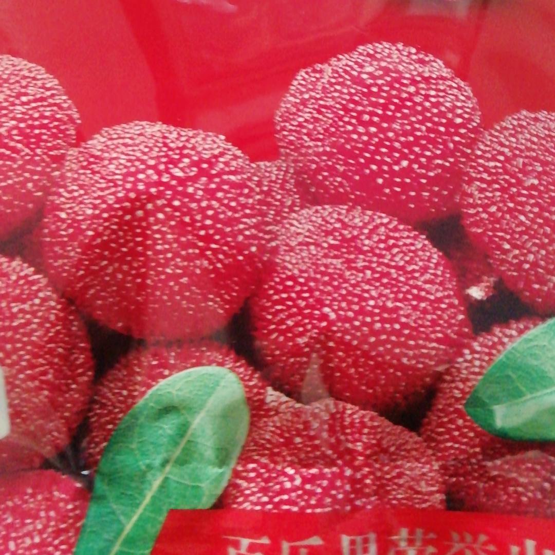 快快乐乐生活每一天