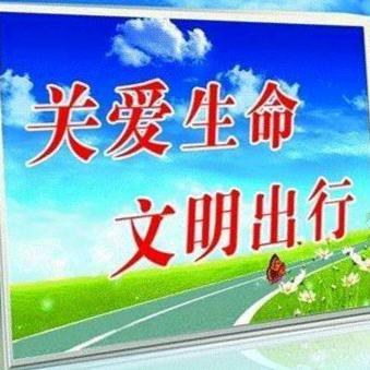 交通安全警示录