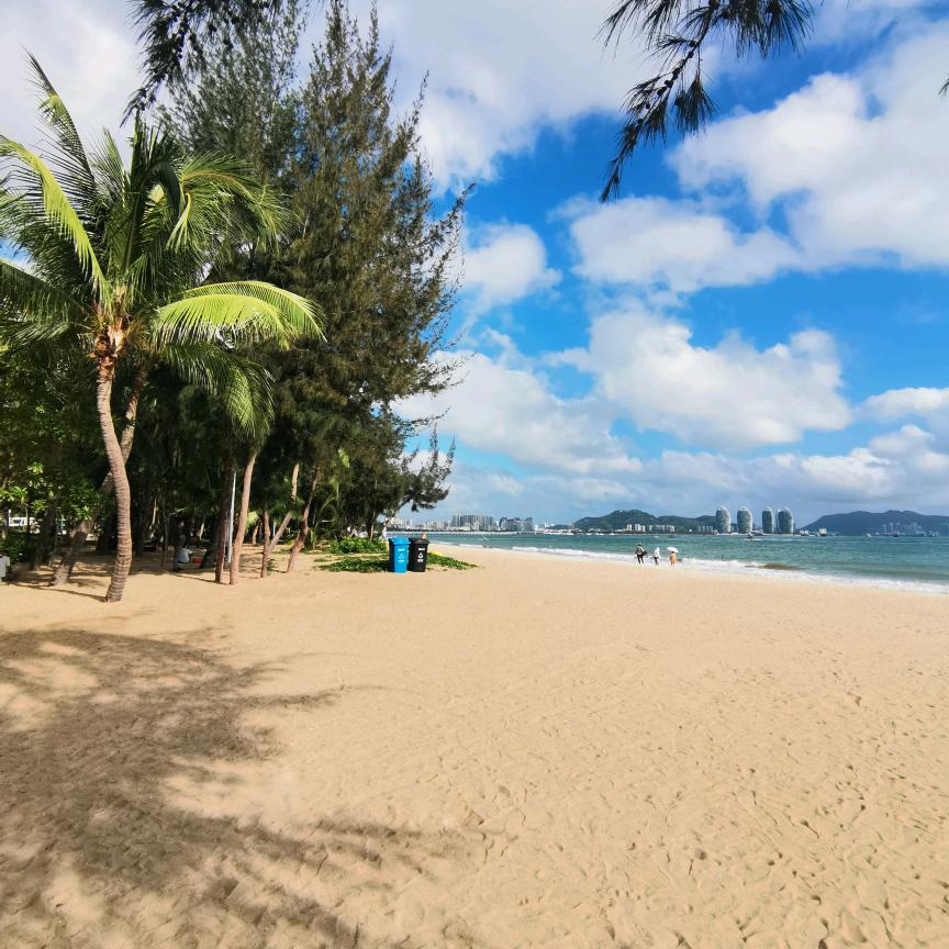 0898绿豆沙🌴🌴