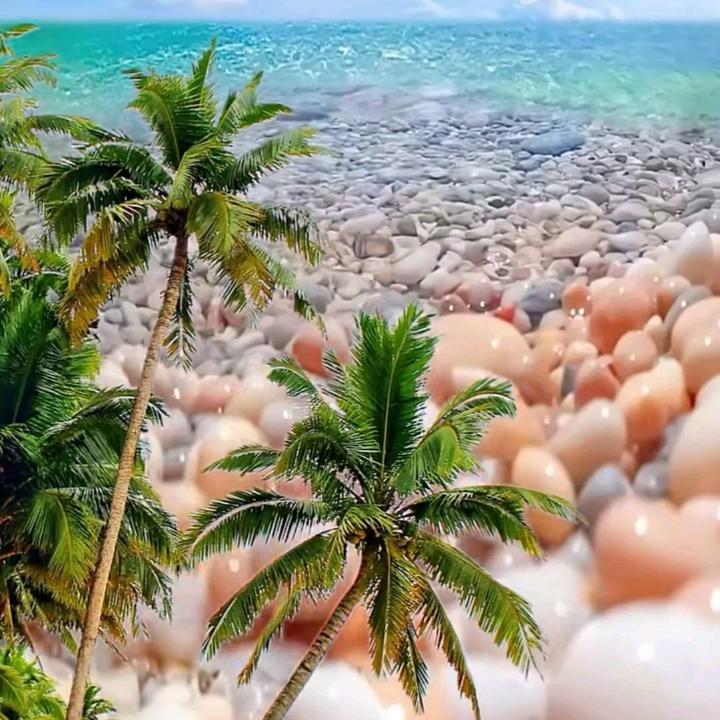 漫天星辰赠于你'