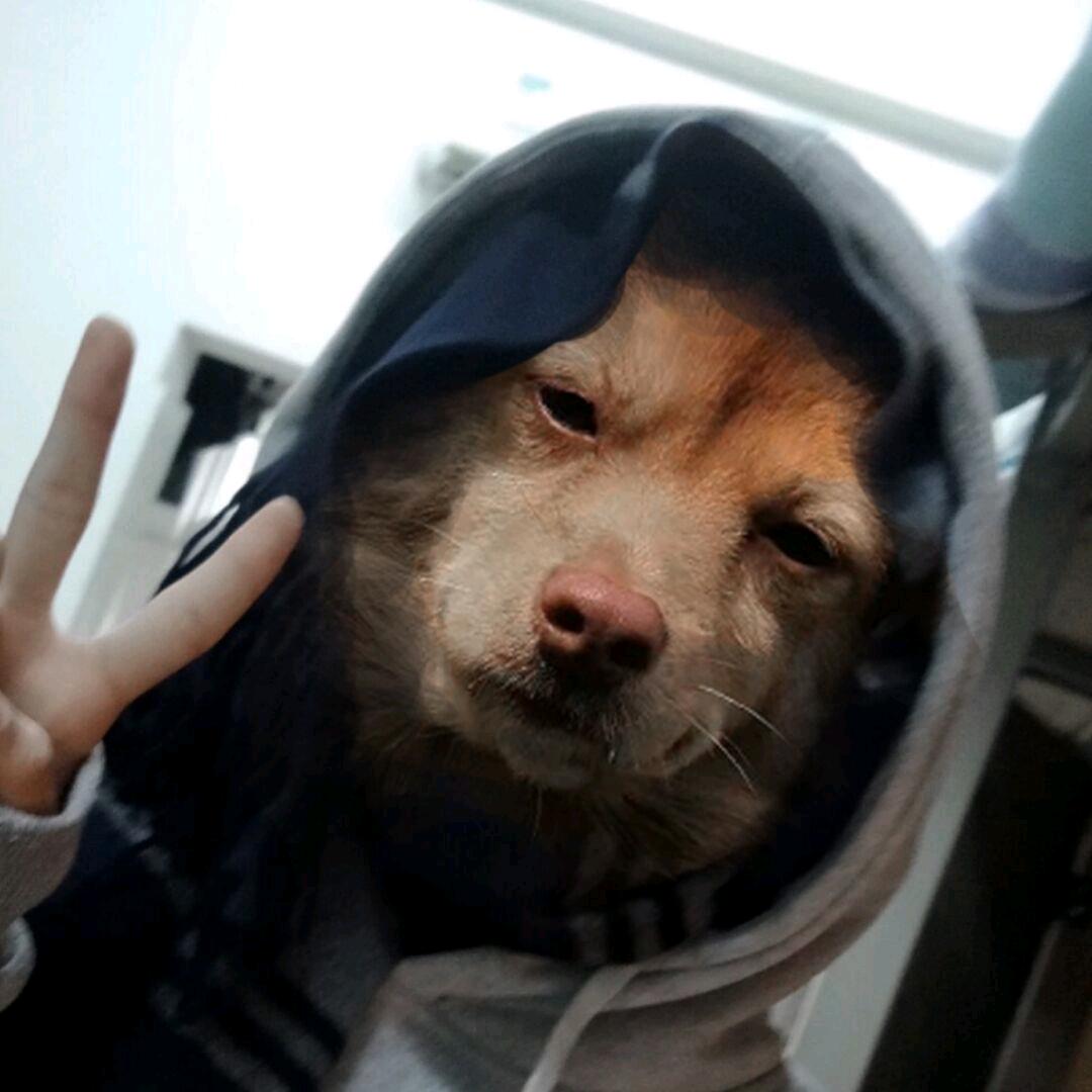 蓝先生