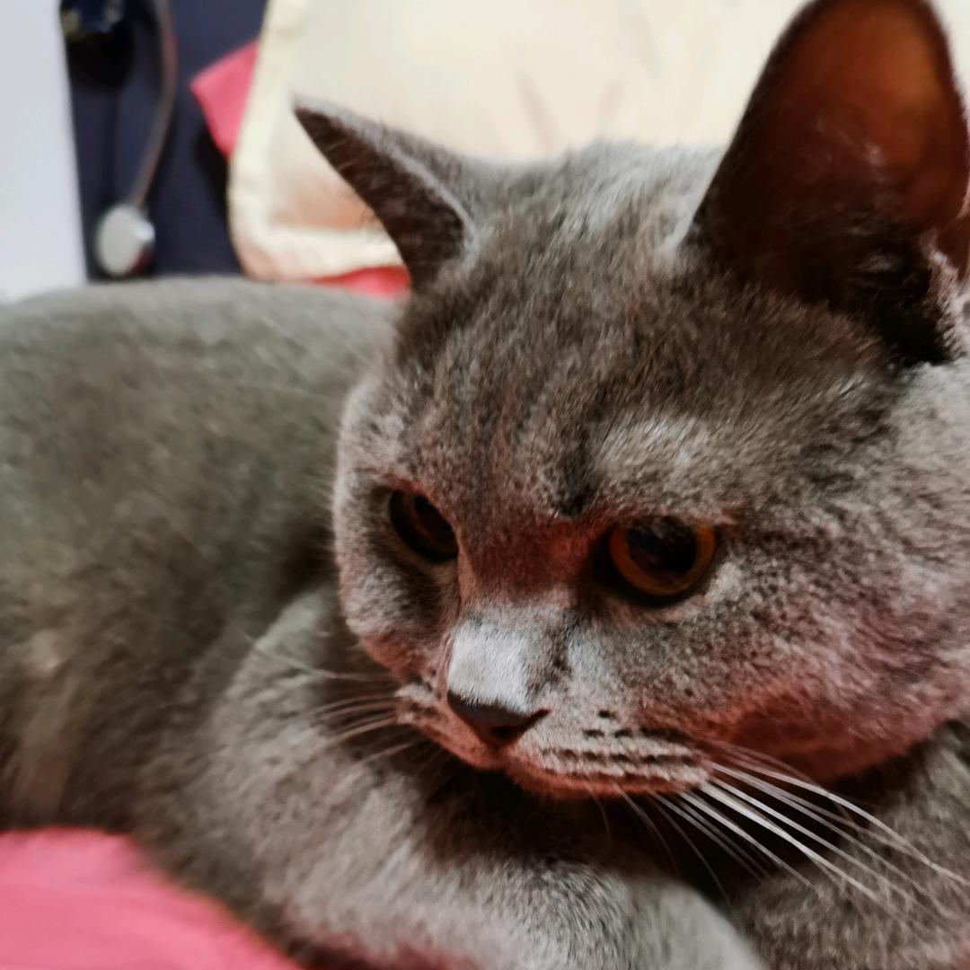 人人叫我怪老师