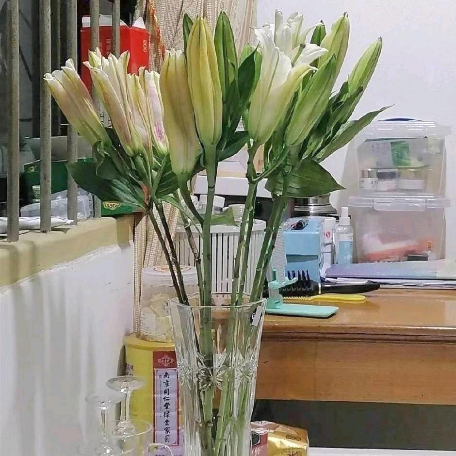 祈祷🙏🏻🙏🏻🙏🏻