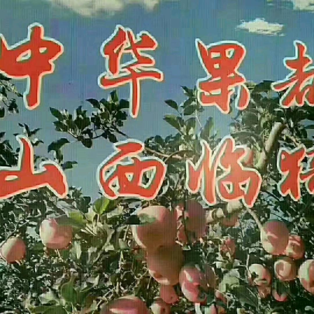 樊氏蔬菜大棚新农人