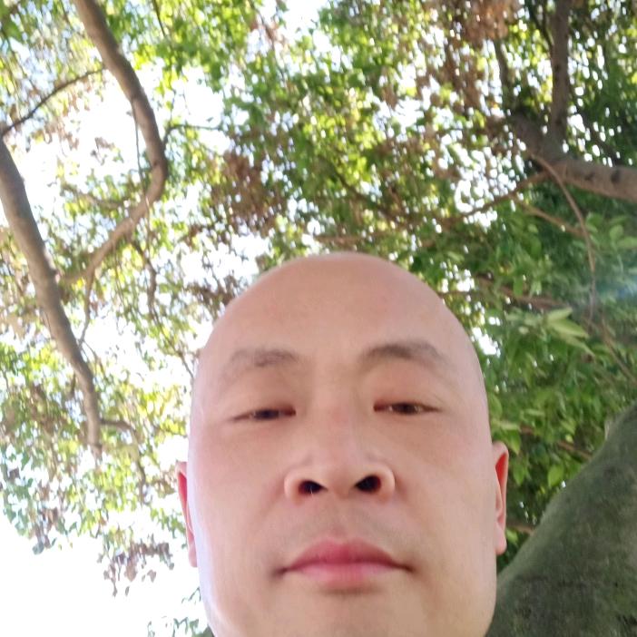 朱哥